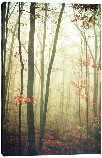 The Woods Are Lovely, Dark, And Deep Canvas Art Print - Olivia Joy StClaire