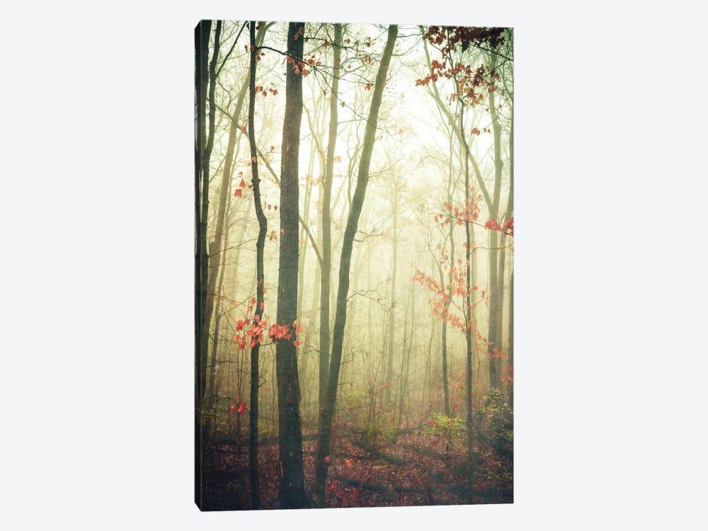 The Woods Are Lovely, Dark, And Deep by Olivia Joy StClaire 1-piece Canvas Art Print