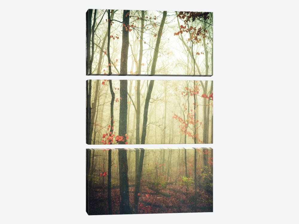 The Woods Are Lovely, Dark, And Deep by Olivia Joy StClaire 3-piece Art Print