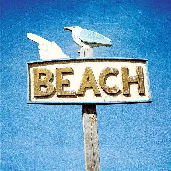 Gulls: THIS WAY TO BEACH by Olivia Joy StClaire