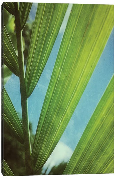 Tropical Outlook Canvas Art Print - Green Leaves 