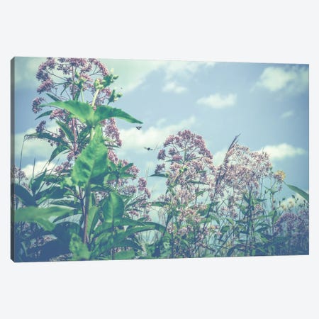 Wild And Free Canvas Print #OJS85} by Olivia Joy StClaire Canvas Art