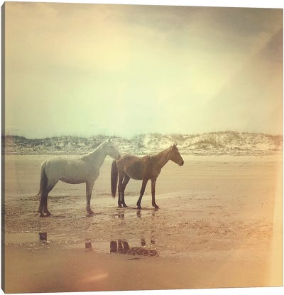 Wild Horses Canvas Art Print - Instagram Material