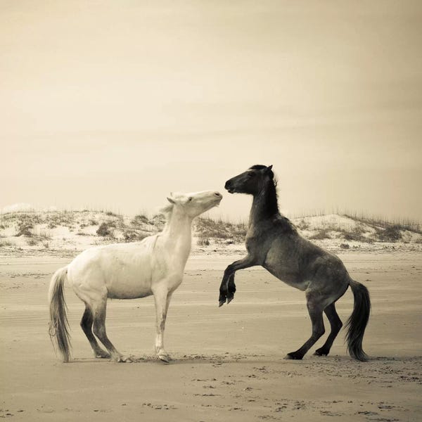 Olivia Joy StClaire: Wild Horses IV by Olivia Joy StClaire