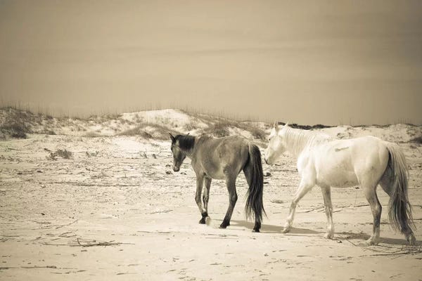 Olivia Joy StClaire: Wild Horses VI by Olivia Joy StClaire