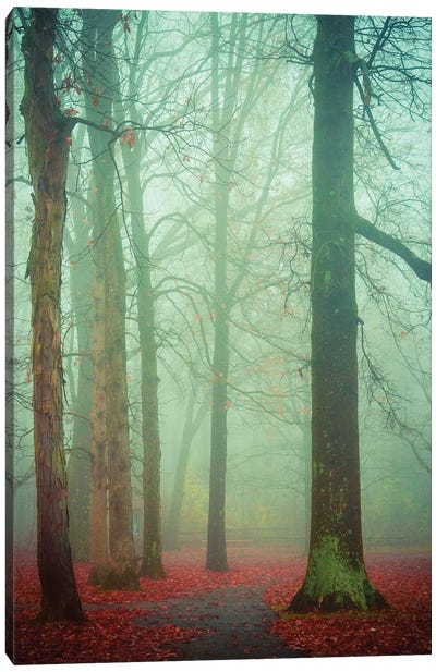 Autumn Fog Canvas Art Print - Olivia Joy StClaire