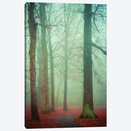 Autumn Fog Canvas Print #OJS95} by Olivia Joy StClaire Art Print