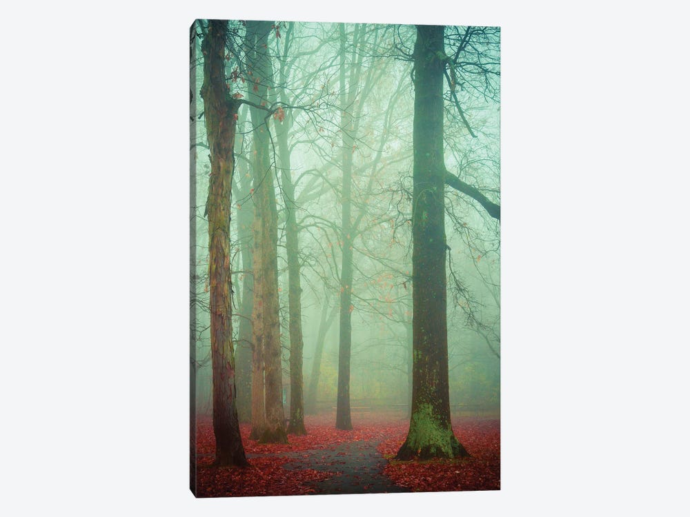 Autumn Fog by Olivia Joy StClaire 1-piece Canvas Art