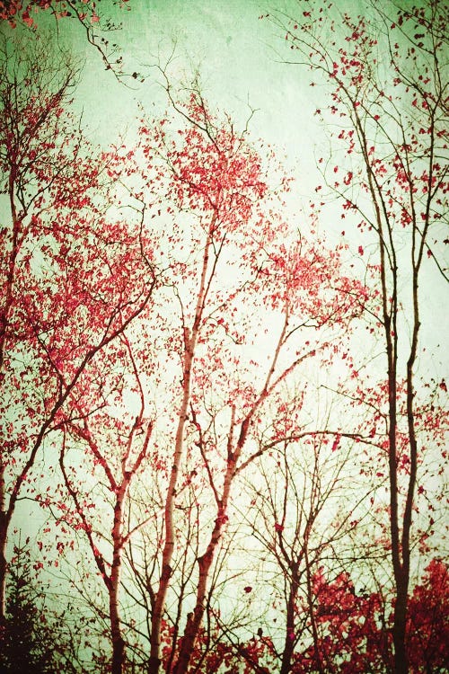 Autumn In Michigan by Olivia Joy StClaire wall art
