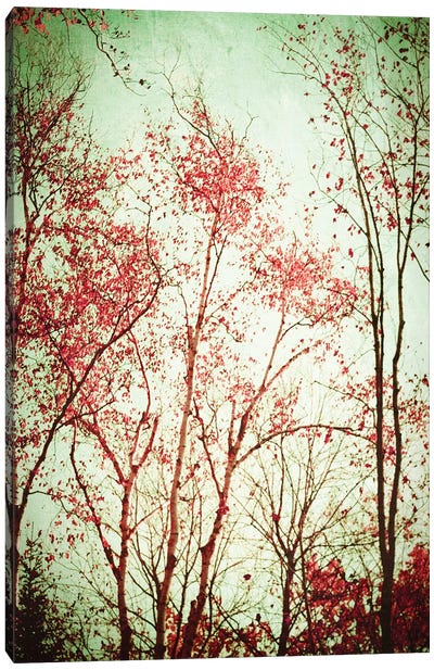 Autumn In Michigan Canvas Art Print - Olivia Joy StClaire