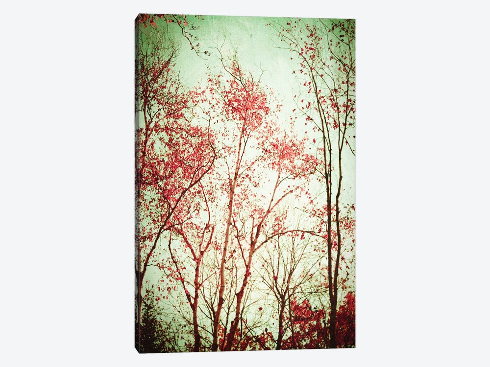 Autumn In Michigan by Olivia Joy StClaire 1-piece Canvas Print
