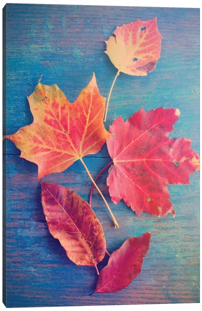 Autumn Leaf Still Life Canvas Art Print - Olivia Joy StClaire