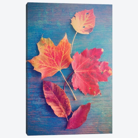 Autumn Leaf Still Life Canvas Print #OJS97} by Olivia Joy StClaire Canvas Art Print