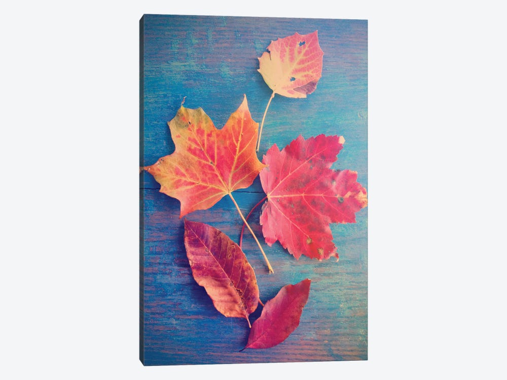 Autumn Leaf Still Life by Olivia Joy StClaire 1-piece Canvas Wall Art