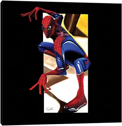 Spider Man Canvas Art Print - Superhero Art