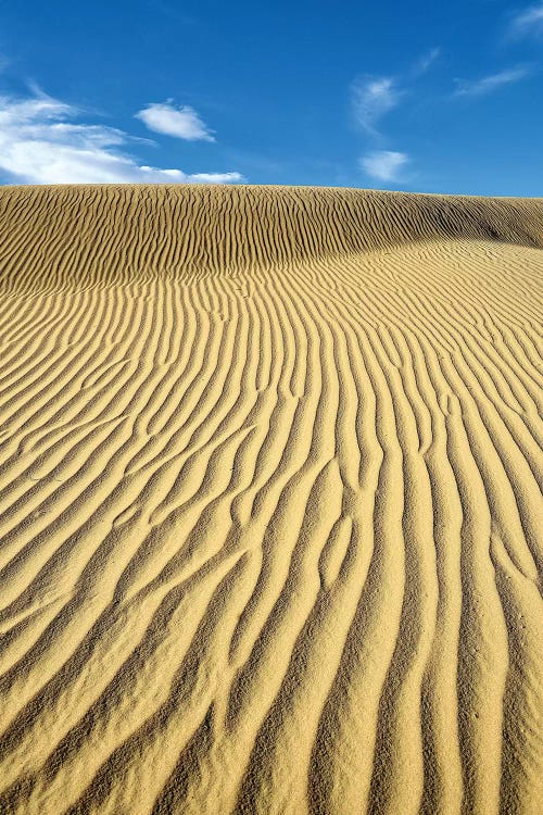 USA, California, Death Valley, Ripples in the sand, Mesquite Flat Sand Dunes.