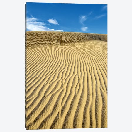 USA, California, Death Valley, Ripples in the sand, Mesquite Flat Sand Dunes. Canvas Print #OKE2} by Kevin Oke Canvas Art Print