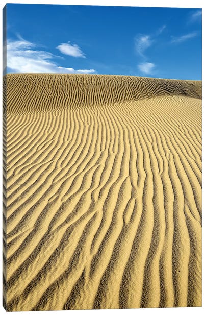USA, California, Death Valley, Ripples in the sand, Mesquite Flat Sand Dunes. Canvas Art Print - Death Valley National Park Art