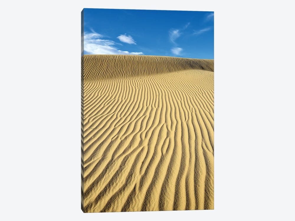 USA, California, Death Valley, Ripples in the sand, Mesquite Flat Sand Dunes. by Kevin Oke 1-piece Canvas Artwork