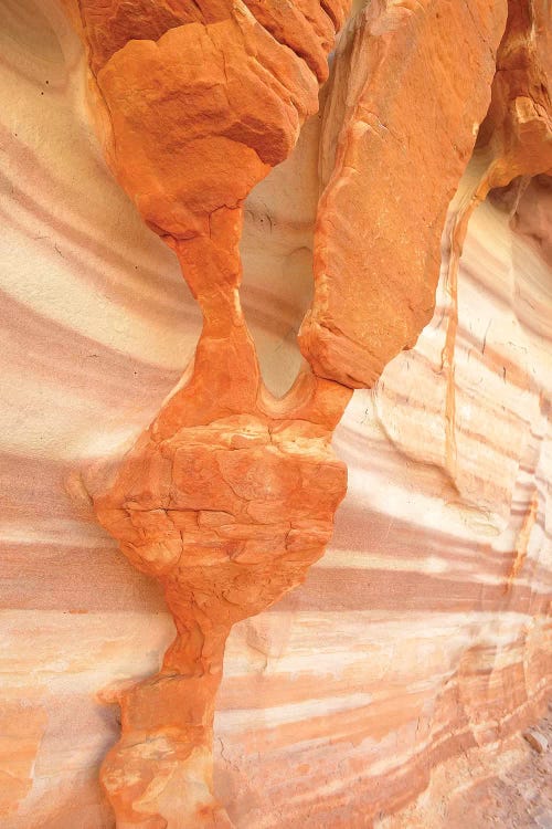 USA, Nevada. Valley of Fire State Park. Sculpted red sandstone by Kevin Oke wall art