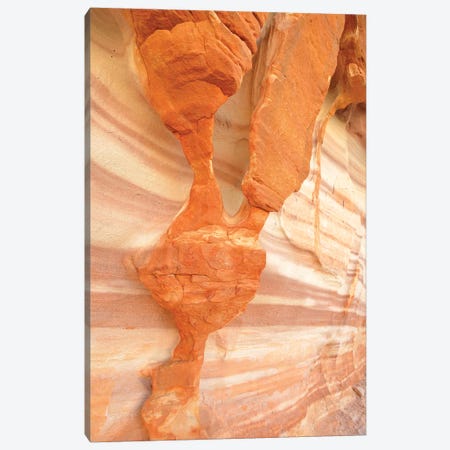 USA, Nevada. Valley of Fire State Park. Sculpted red sandstone Canvas Print #OKE3} by Kevin Oke Art Print