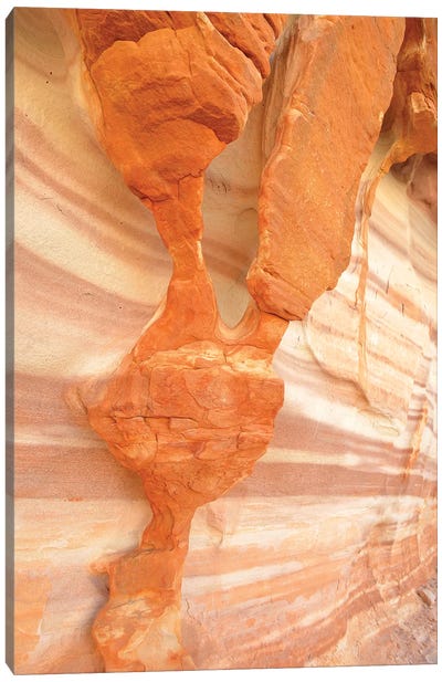 USA, Nevada. Valley of Fire State Park. Sculpted red sandstone Canvas Art Print
