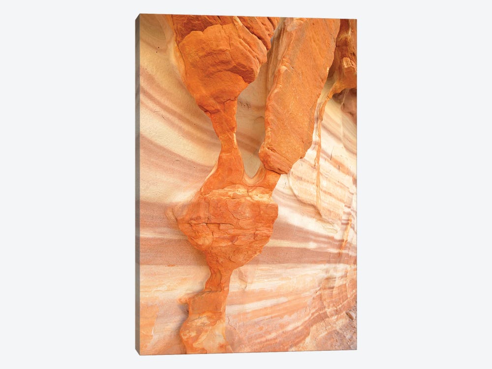 USA, Nevada. Valley of Fire State Park. Sculpted red sandstone by Kevin Oke 1-piece Canvas Print