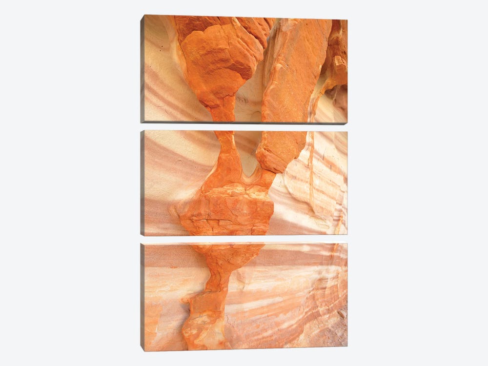 USA, Nevada. Valley of Fire State Park. Sculpted red sandstone by Kevin Oke 3-piece Canvas Art Print