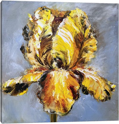 Yellow Iris On Blue Canvas Art Print - Oksana Petrova