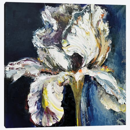 Iris In Blue Canvas Print #OKP102} by Oksana Petrova Art Print