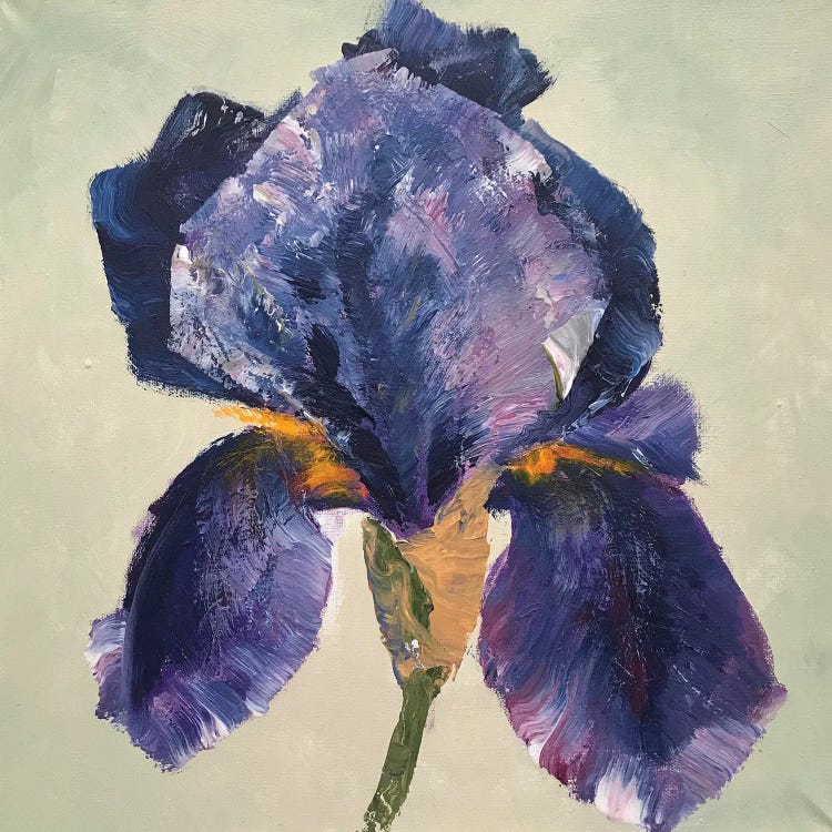 Iris Dark Blue by Oksana Petrova wall art