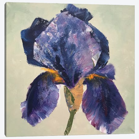 Iris Dark Blue Canvas Print #OKP15} by Oksana Petrova Art Print