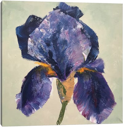 Iris Dark Blue Canvas Art Print - Oksana Petrova