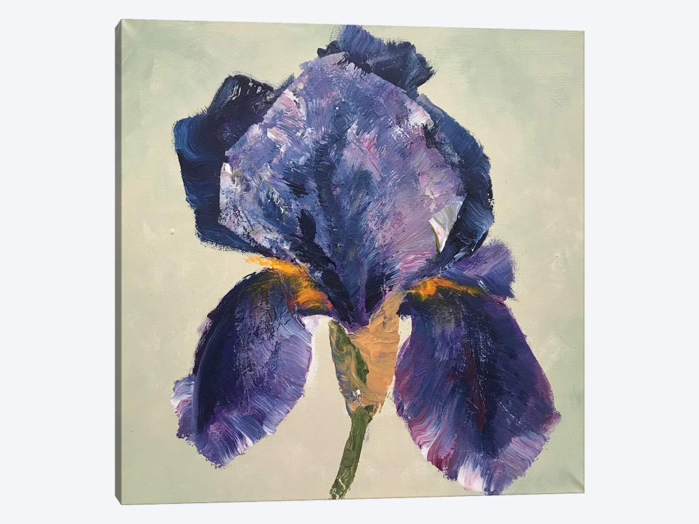 Iris Dark Blue by Oksana Petrova 1-piece Canvas Art
