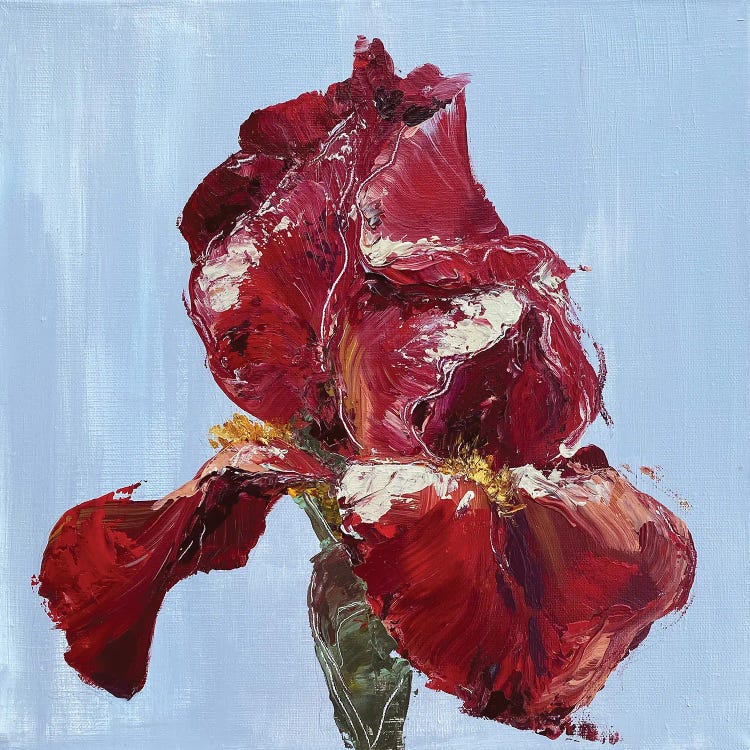 Red Iris by Oksana Petrova wall art