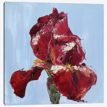 Red Iris Canvas Print #OKP27} by Oksana Petrova Canvas Art
