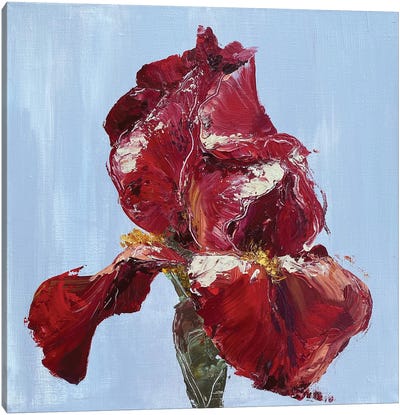 Red Iris Canvas Art Print - Oksana Petrova