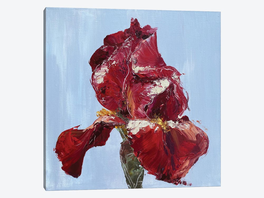 Red Iris by Oksana Petrova 1-piece Canvas Print