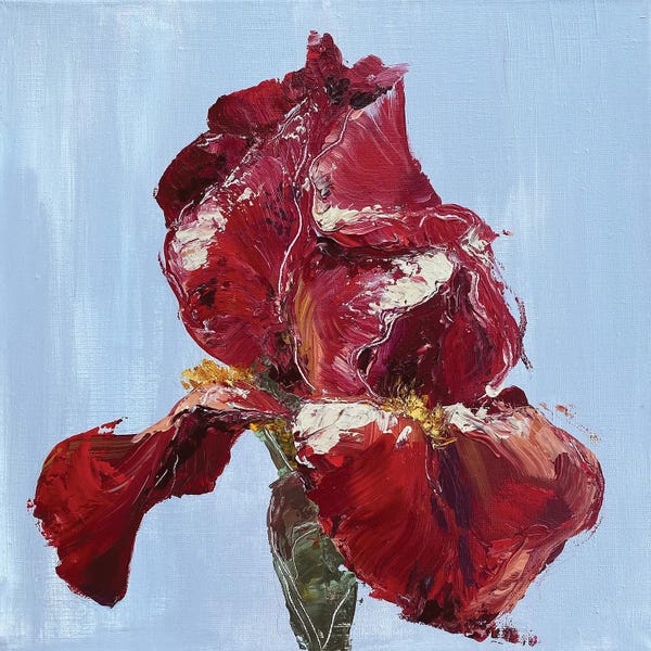 Oksana Petrova: Red Iris by Oksana Petrova