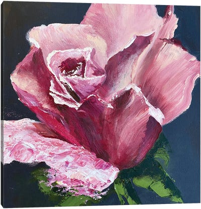 Red Rose Canvas Art Print - Oksana Petrova