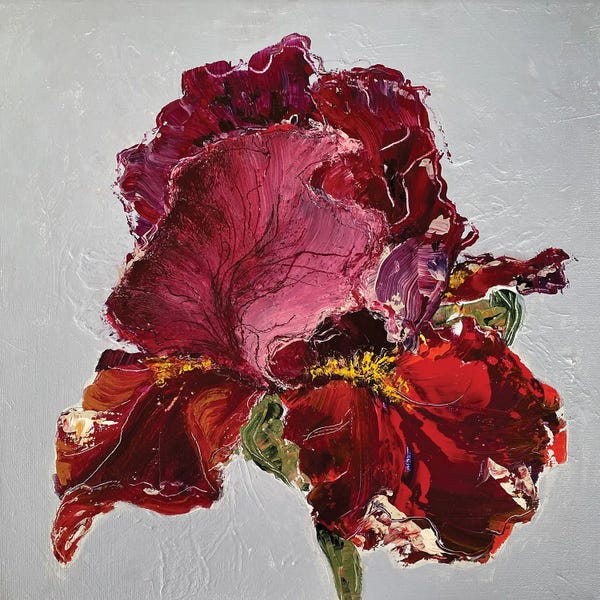 Irises: Iris On Grey by Oksana Petrova