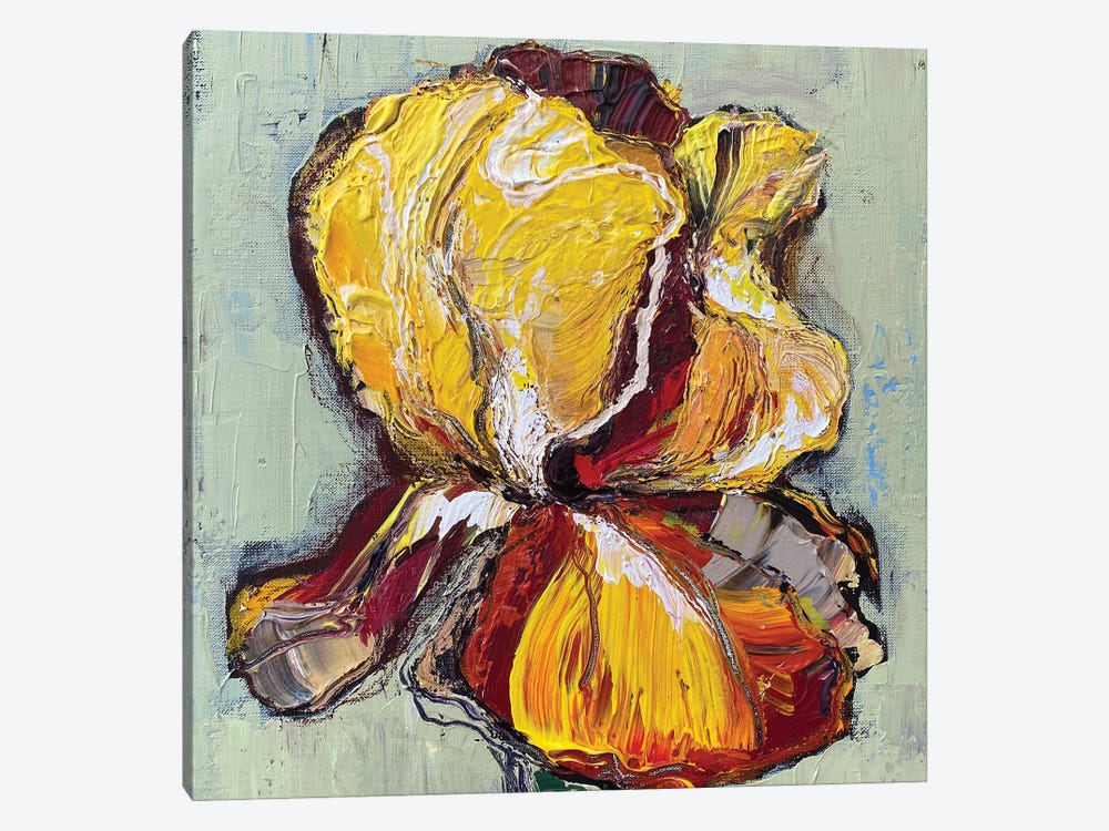 Yellow Iris by Oksana Petrova 1-piece Canvas Art
