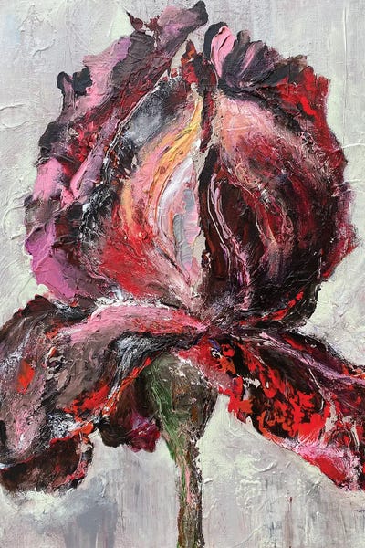 Oksana Petrova: Iris Grande by Oksana Petrova