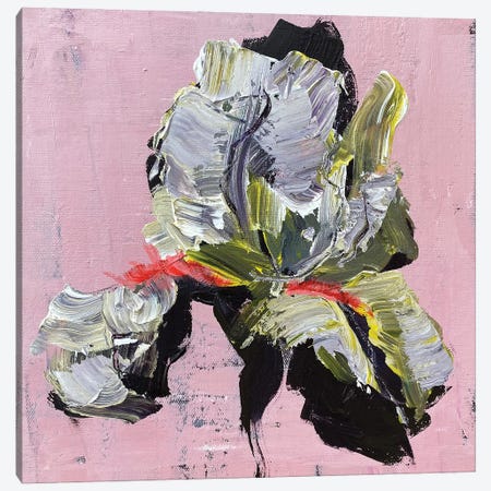 Iris On Pink Canvas Print #OKP45} by Oksana Petrova Canvas Wall Art