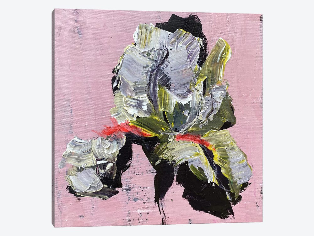 Iris On Pink by Oksana Petrova 1-piece Canvas Art Print