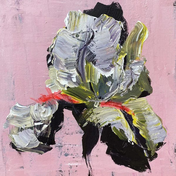 Oksana Petrova: Iris On Pink by Oksana Petrova