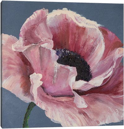 Pink Poppy Canvas Art Print - Similar to Georgia O'Keeffe