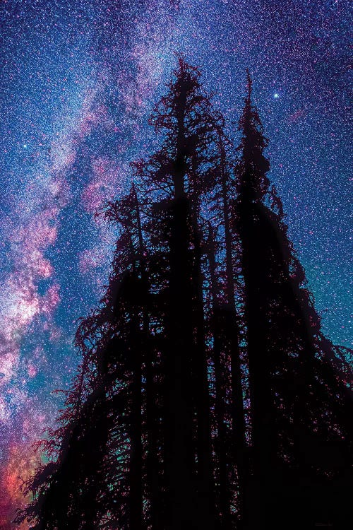 Under the Stars II by OLena Art wall art