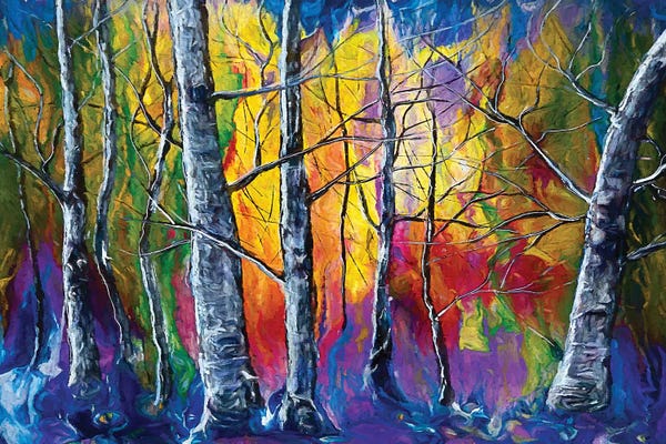 Enchanted Universe Sunset Forest
