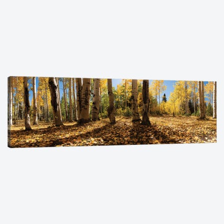 Crested Butte Colorado Fall Colors I Canvas Print #OLE123} by OLena Art Canvas Art